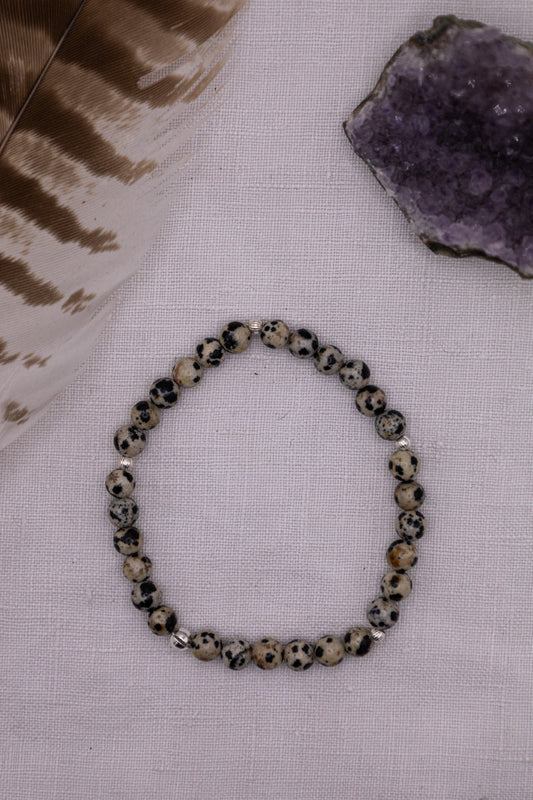 Flussstein - Dalmatiner Jaspis