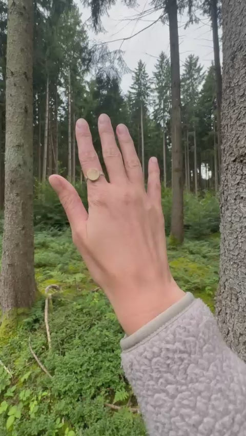 Ring Fichte#1 silver